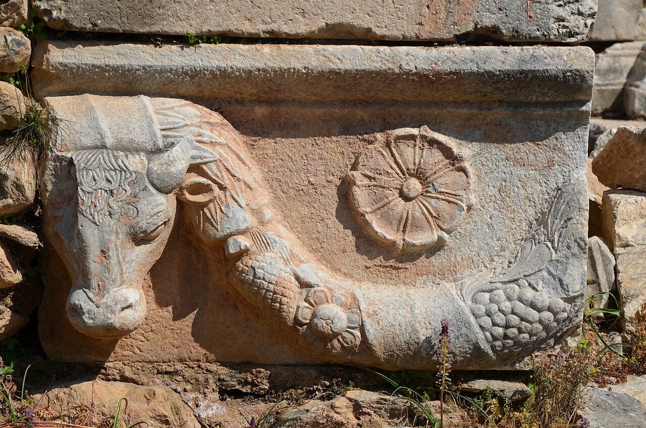 Nysa — fotoğraf 4