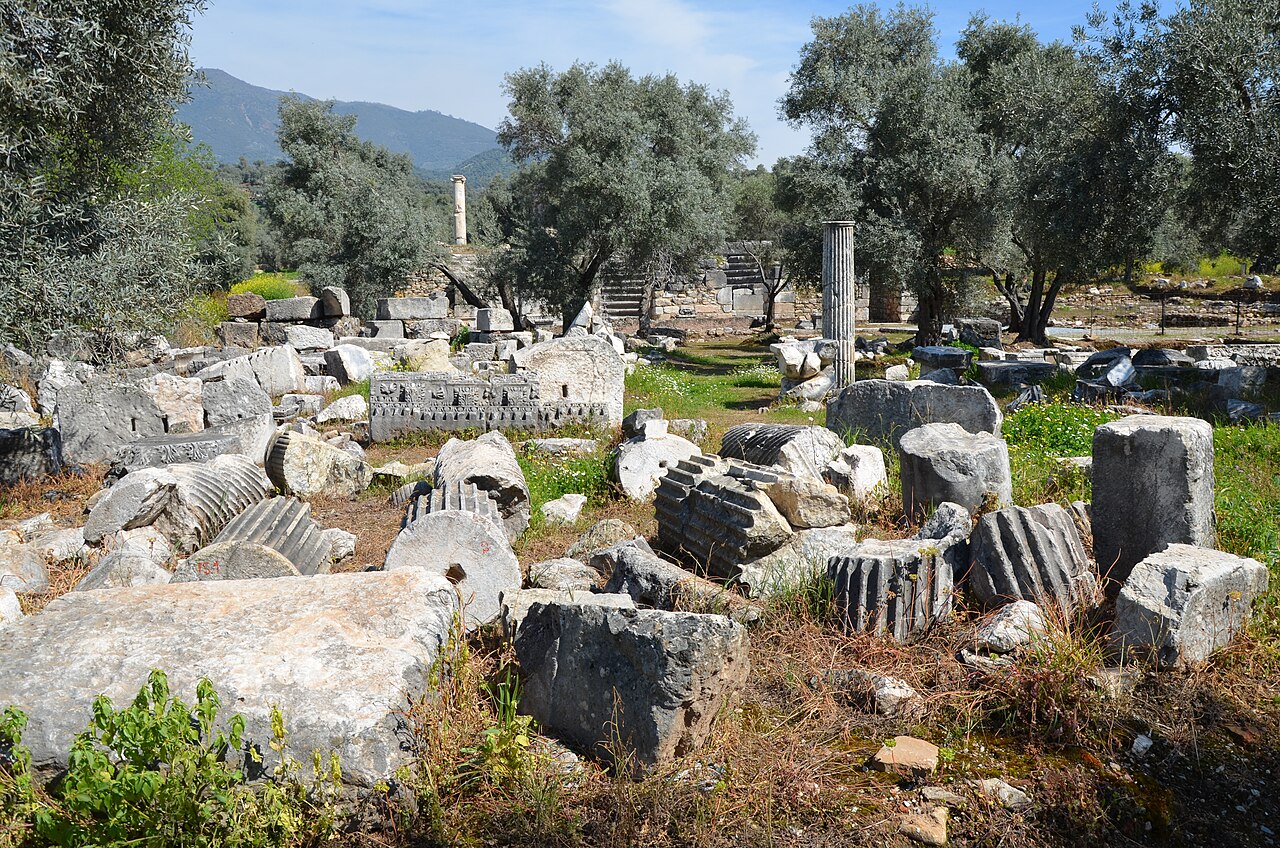 Nysa — fotoğraf 5