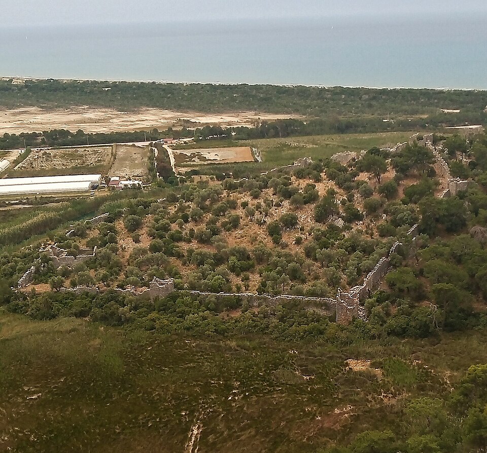 Pydnai