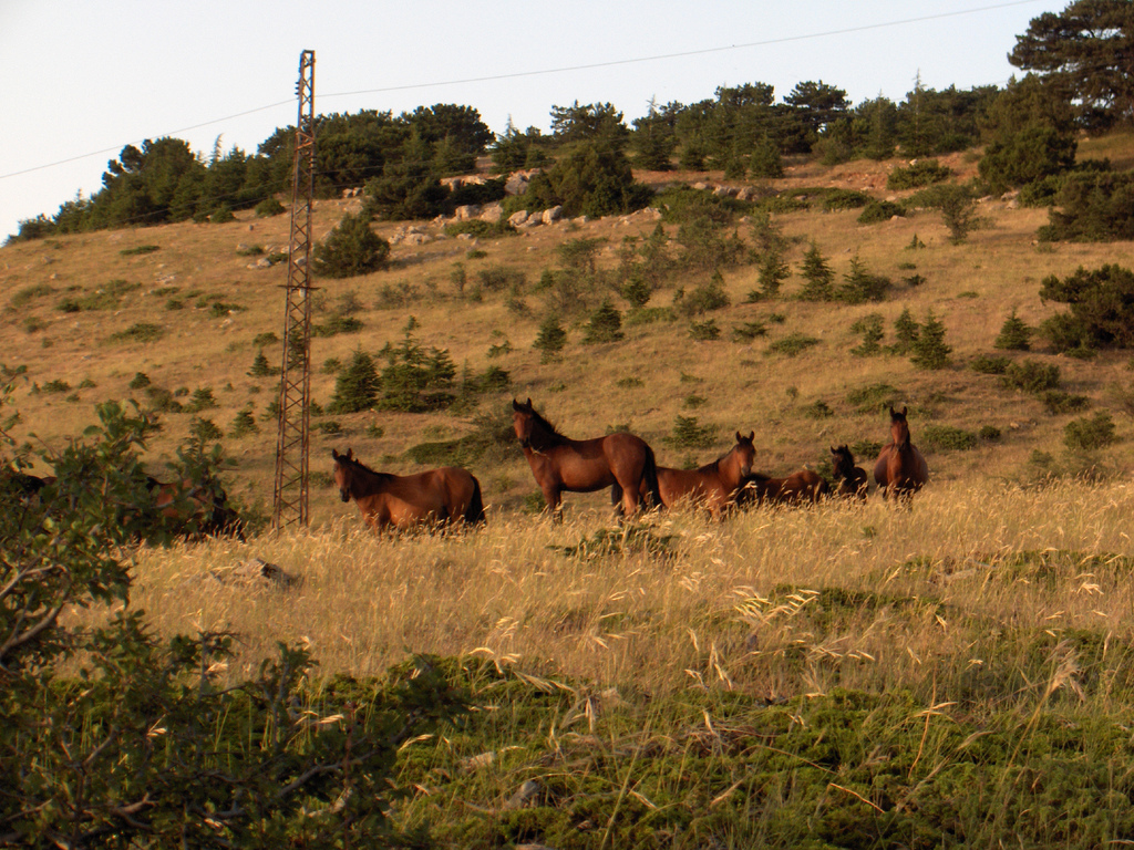 Spil Dağı — fotoğraf 4