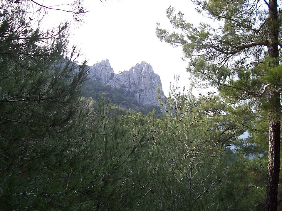 Yamanlar Dağı
