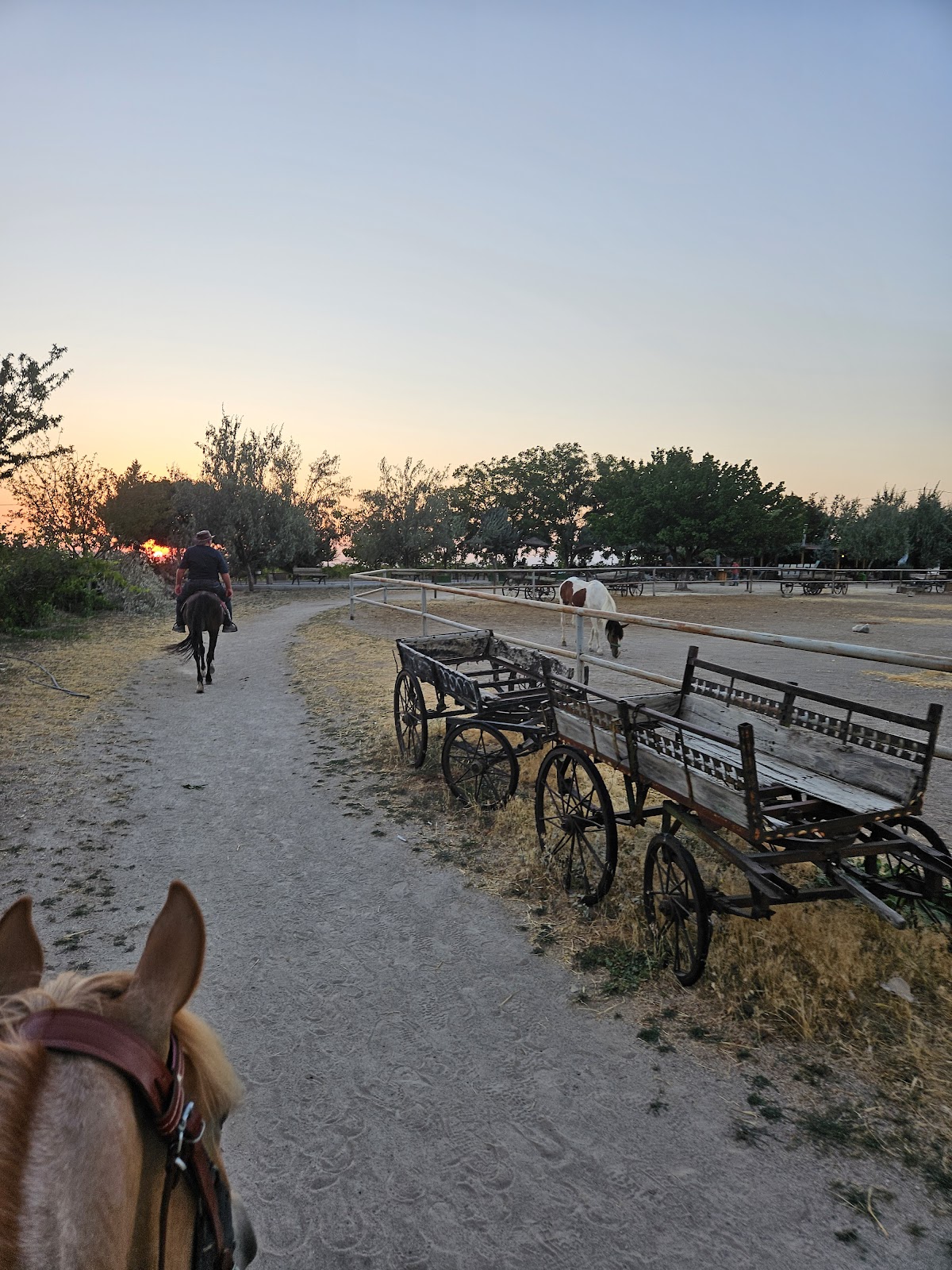 Cemal Ranch — fotoğraf 2