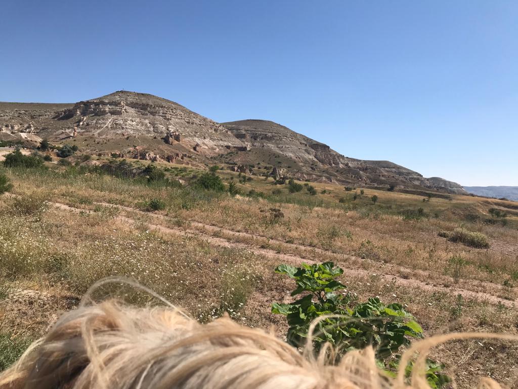 Cemal Ranch — fotoğraf 4