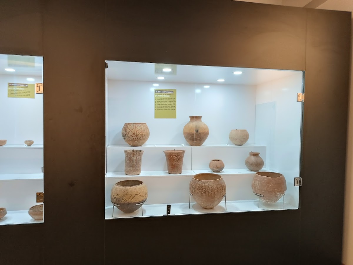 Muş Müzesi — fotoğraf 3