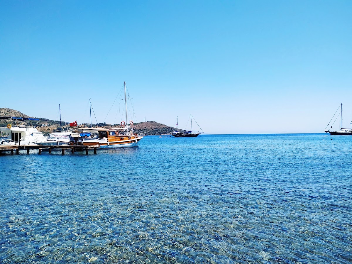 Kargı Plajı — fotoğraf 4
