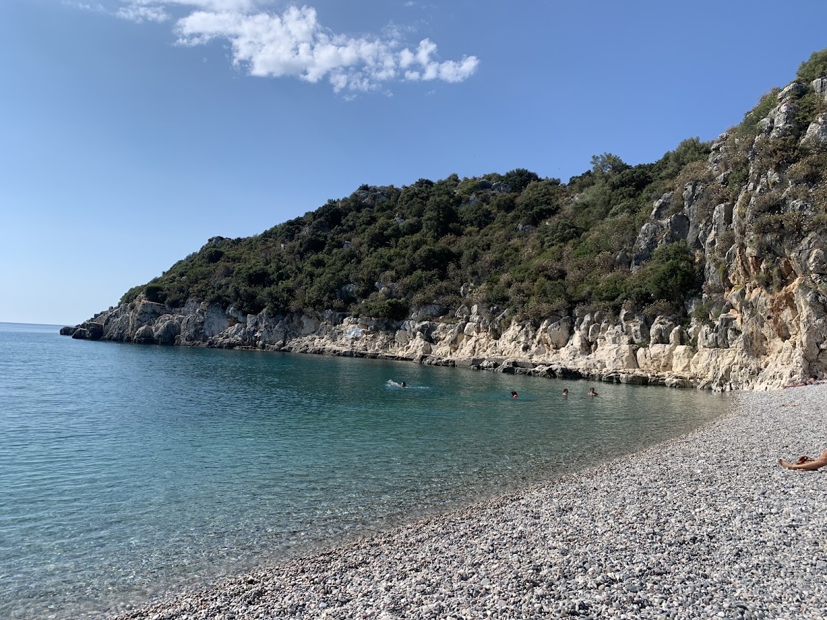 Taşdibi Plajı