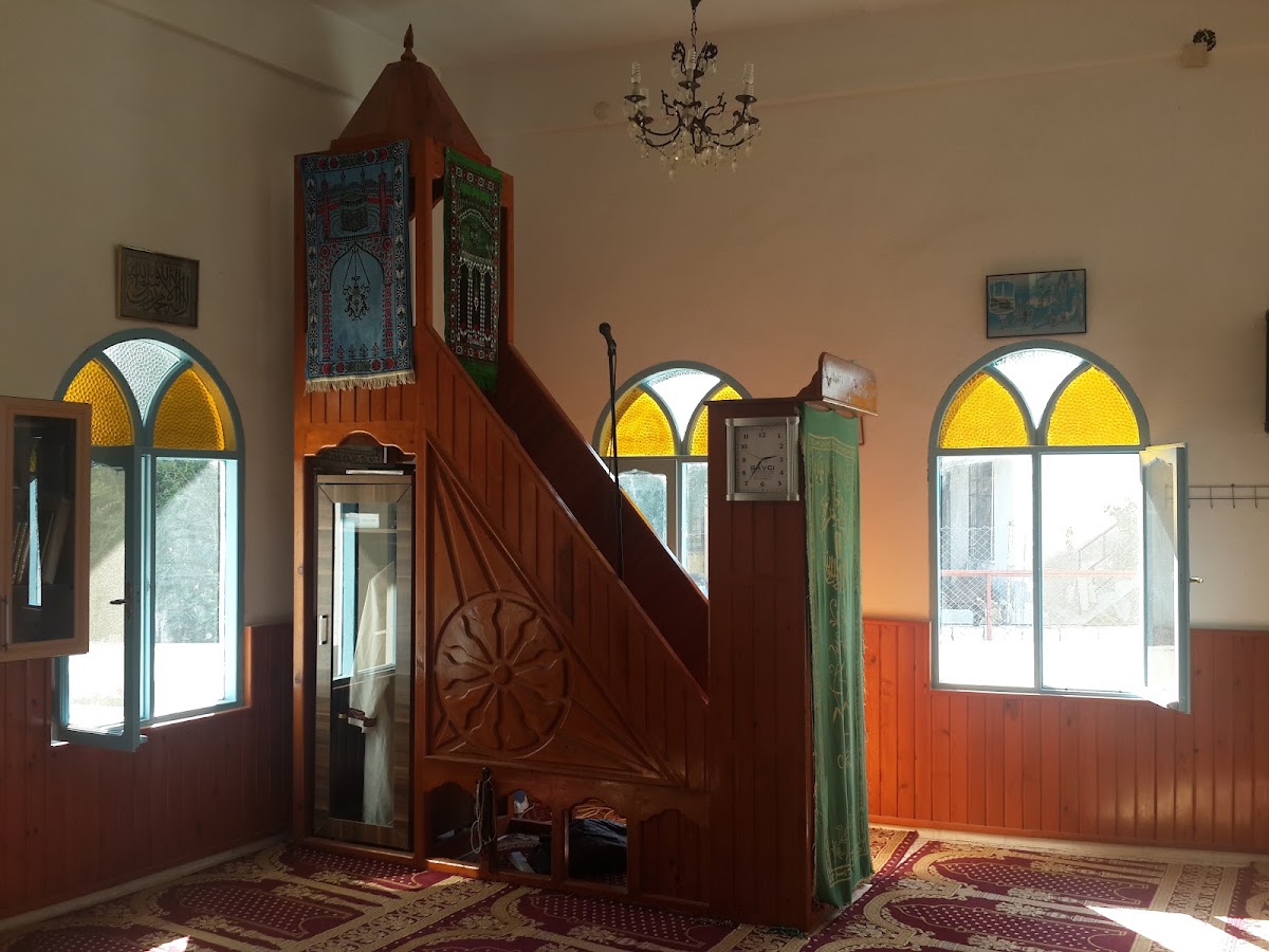Çevlik Ören Yeri — fotoğraf 2