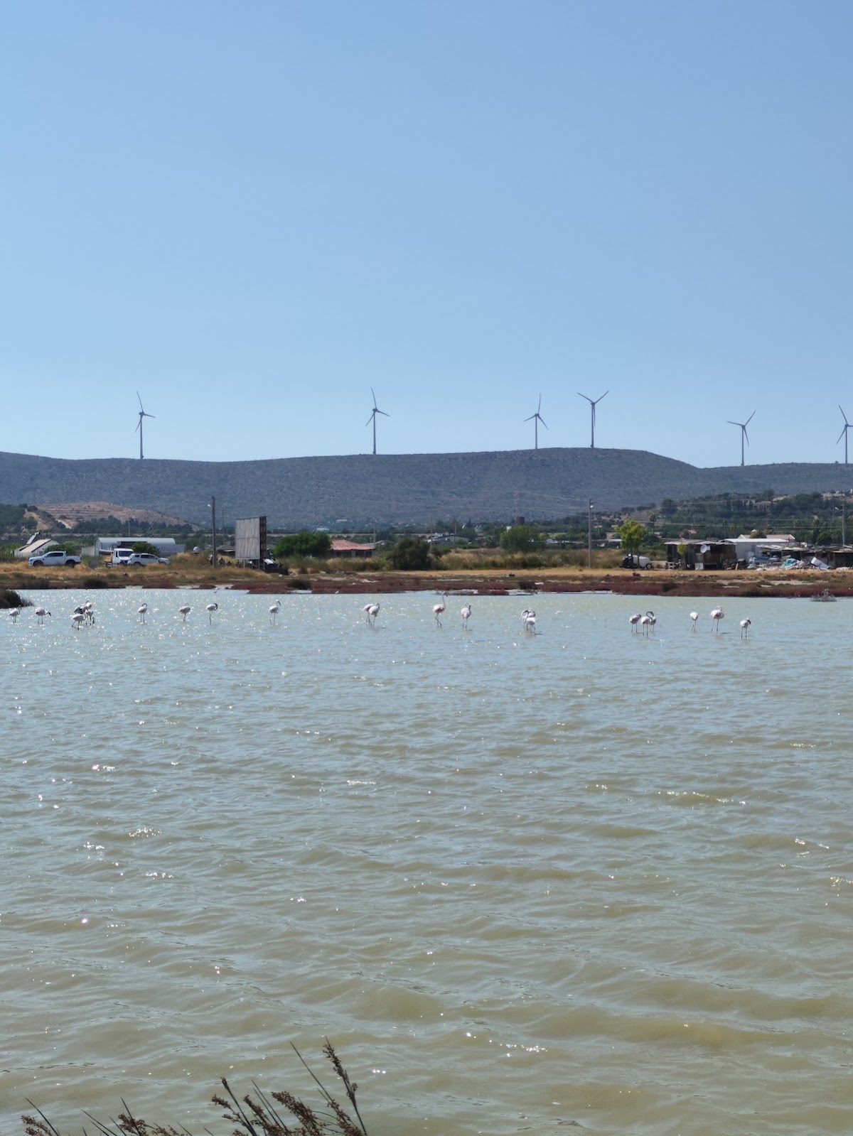 Alaçatı Azmağı Sulak Alan Gözlem Parkı — fotoğraf 3