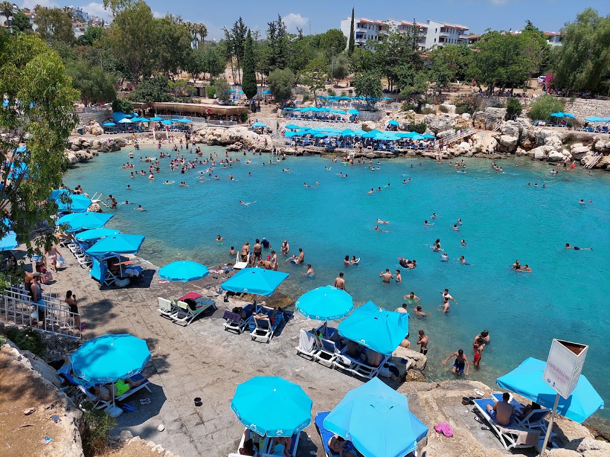 Yapraklı Koyu — fotoğraf 2