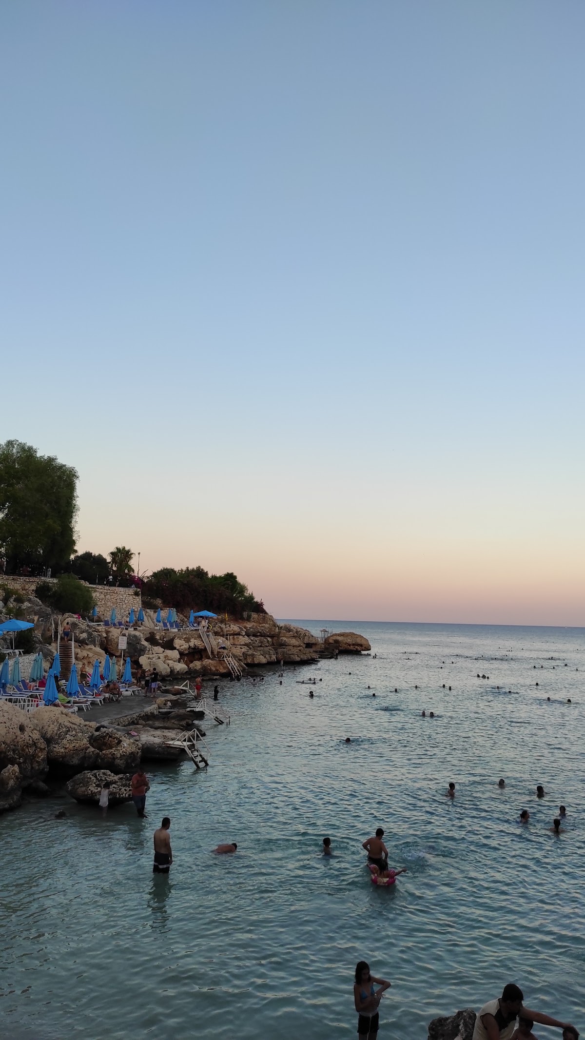 Yapraklı Koyu — fotoğraf 3