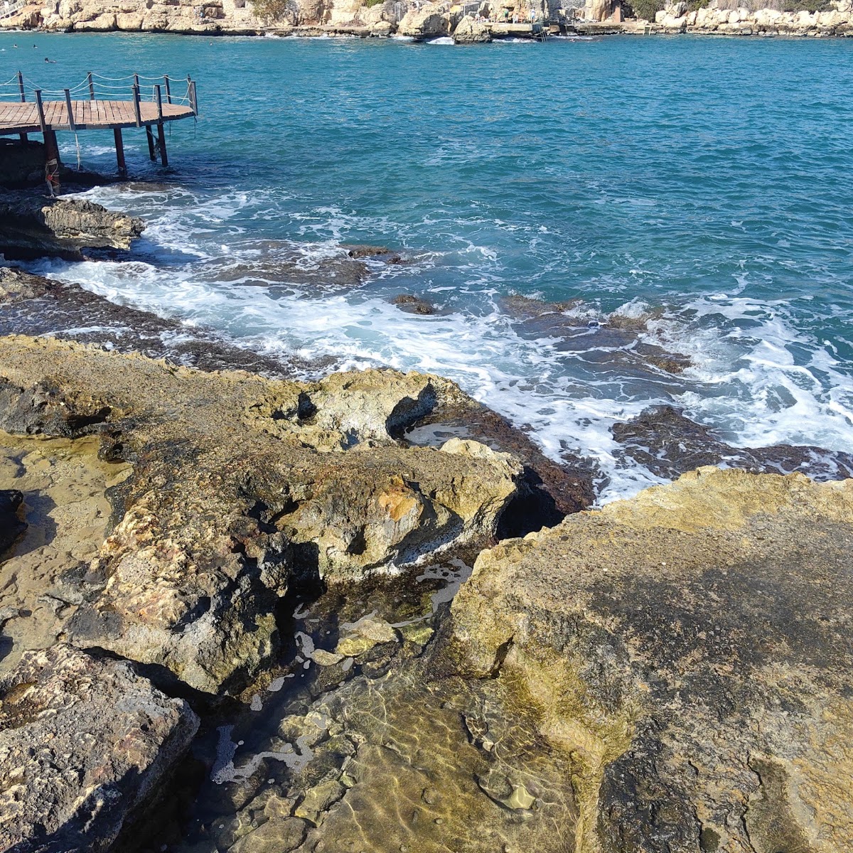 Yapraklı Koyu — fotoğraf 4
