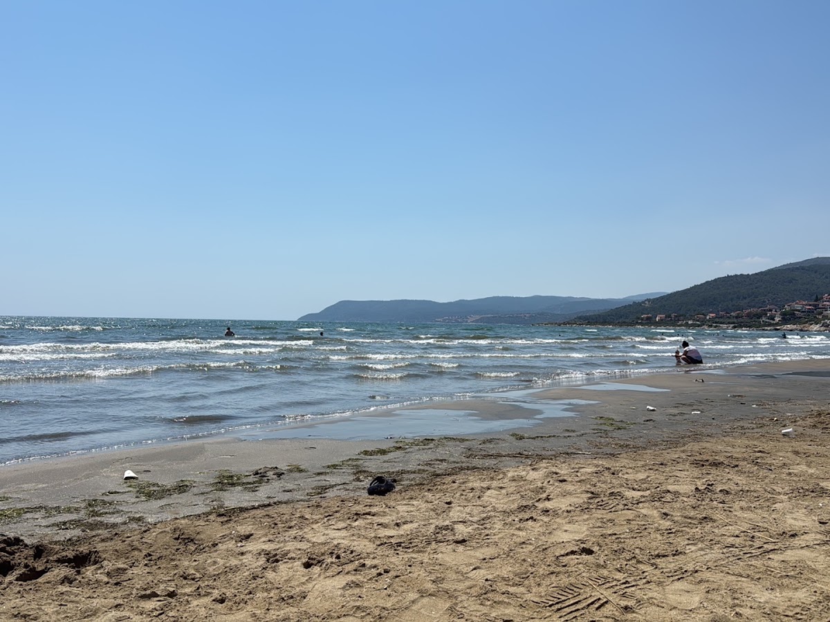Zeytin Plajı — fotoğraf 2