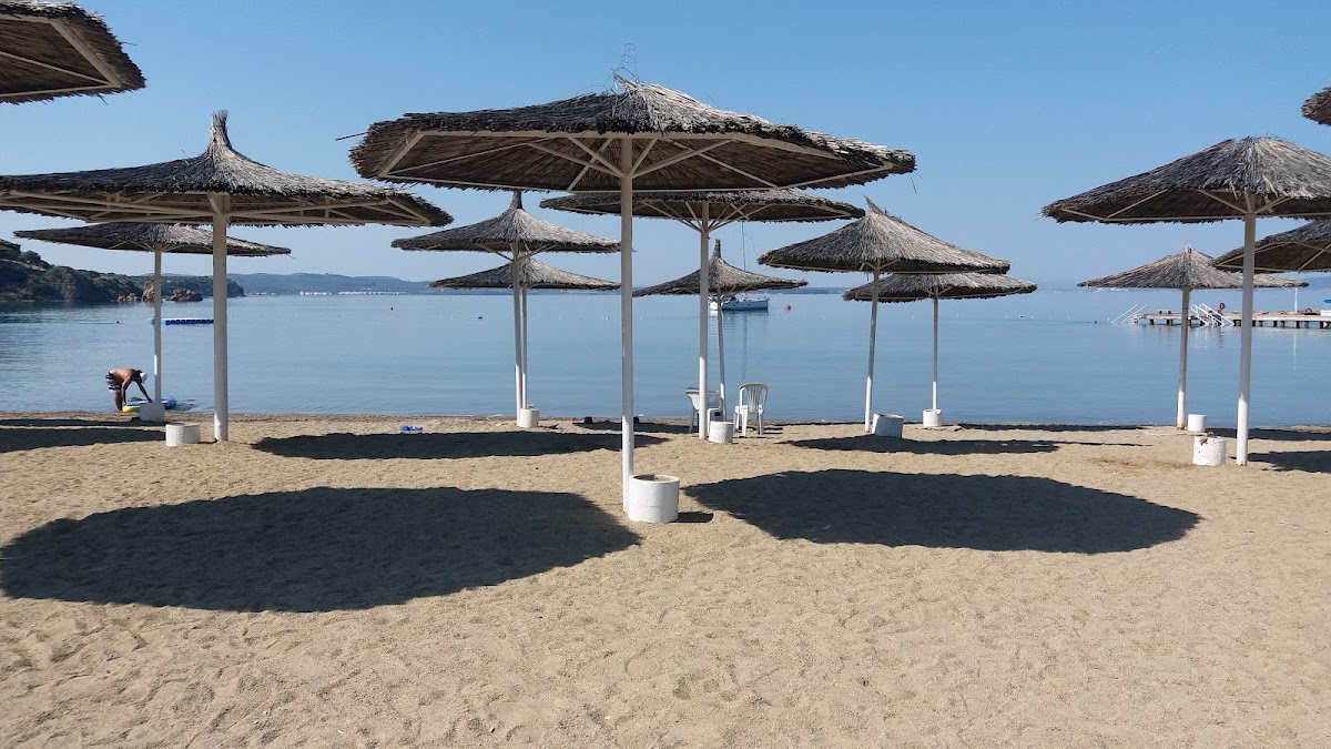 Artur Güvercin Koyu — fotoğraf 3