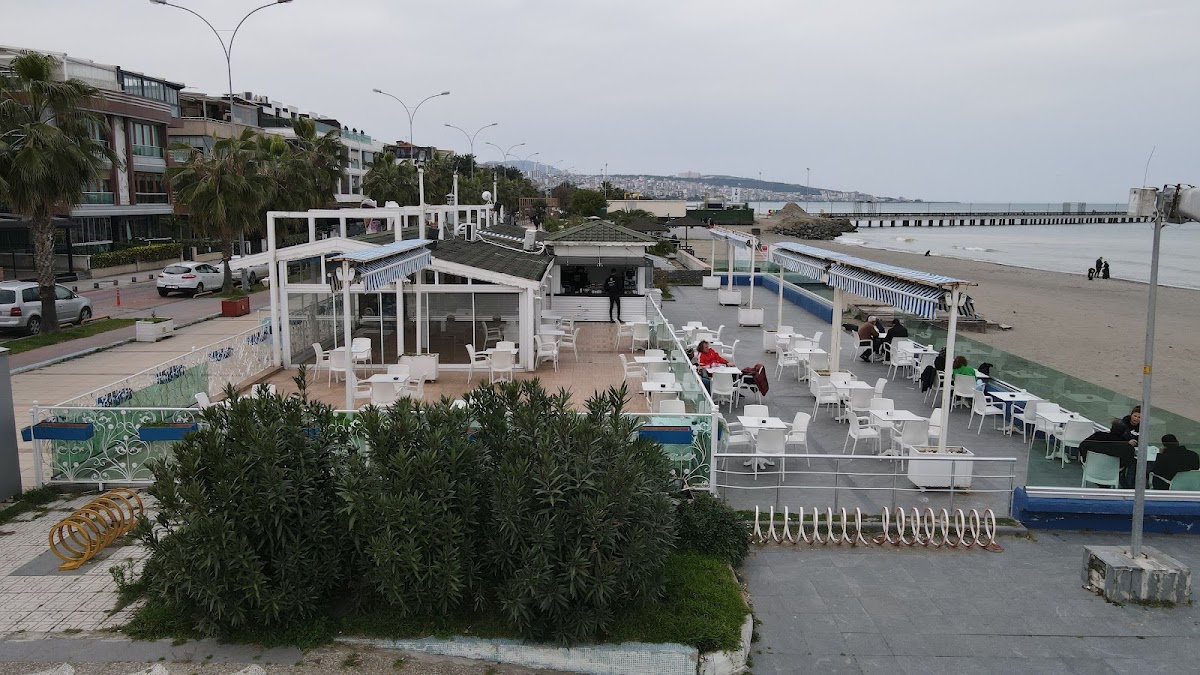 Palmiye Plajı — fotoğraf 3