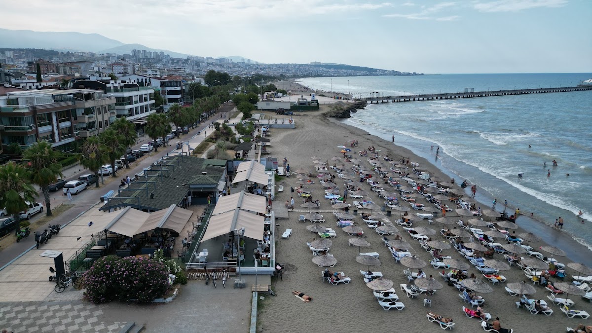 Palmiye Plajı — fotoğraf 4