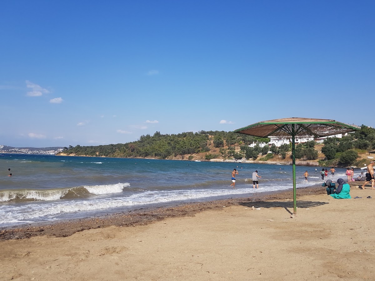Karaağaç Sahili — fotoğraf 2