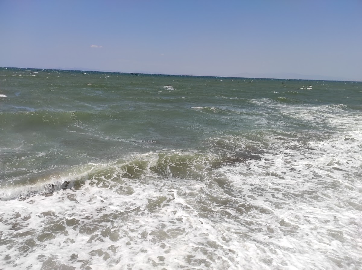 Urla Belediyesi Zeytinalanı Mahallesi Plajı (Tesis Kapalı) — fotoğraf 4