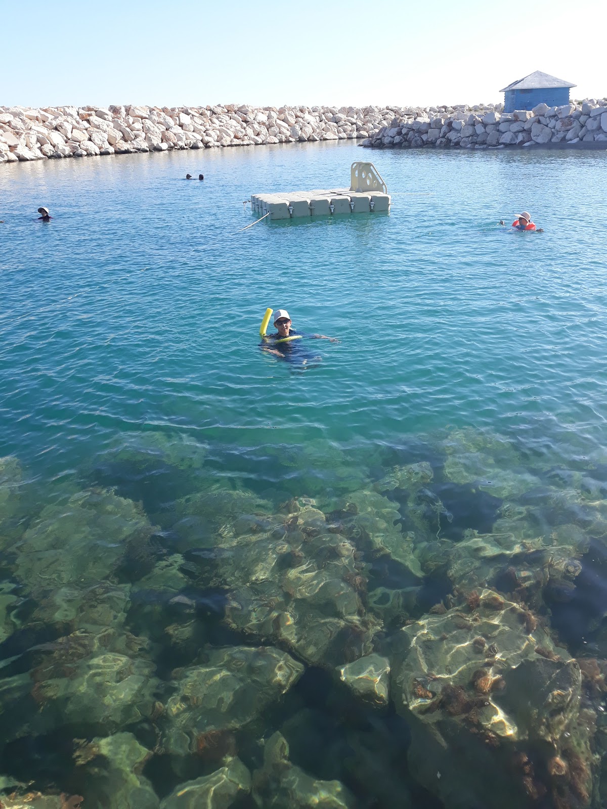 Akdeniz Su Ürünleri Araştırma, Üretme ve Eğitim Enstitüsü Plajı — fotoğraf 3