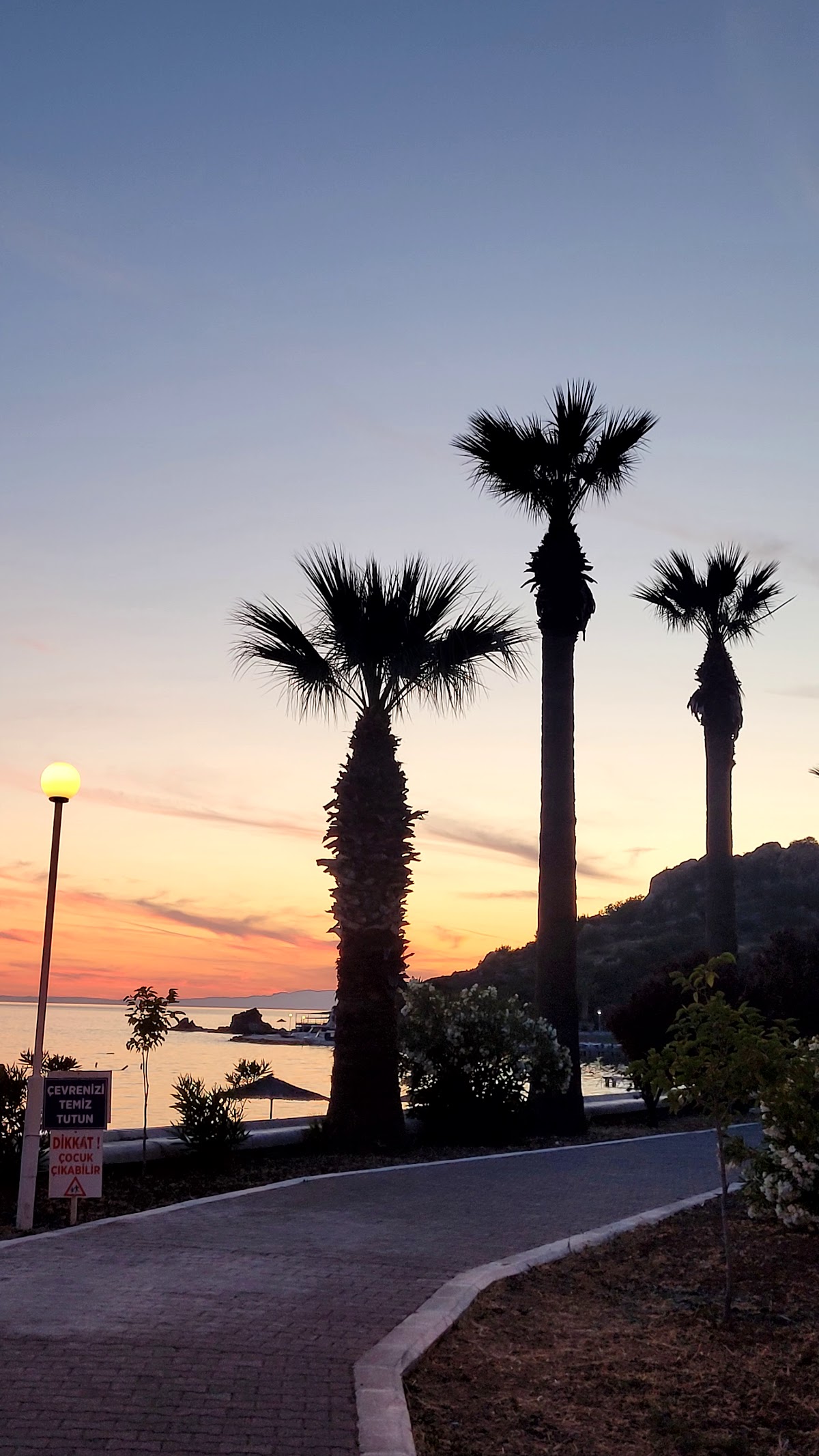 Artur Gemiyatağı Koyu — fotoğraf 3