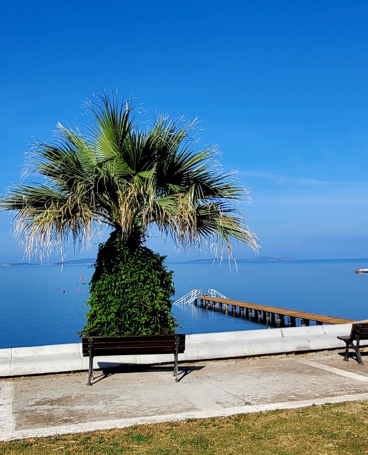 Artur Gemiyatağı Koyu — fotoğraf 4