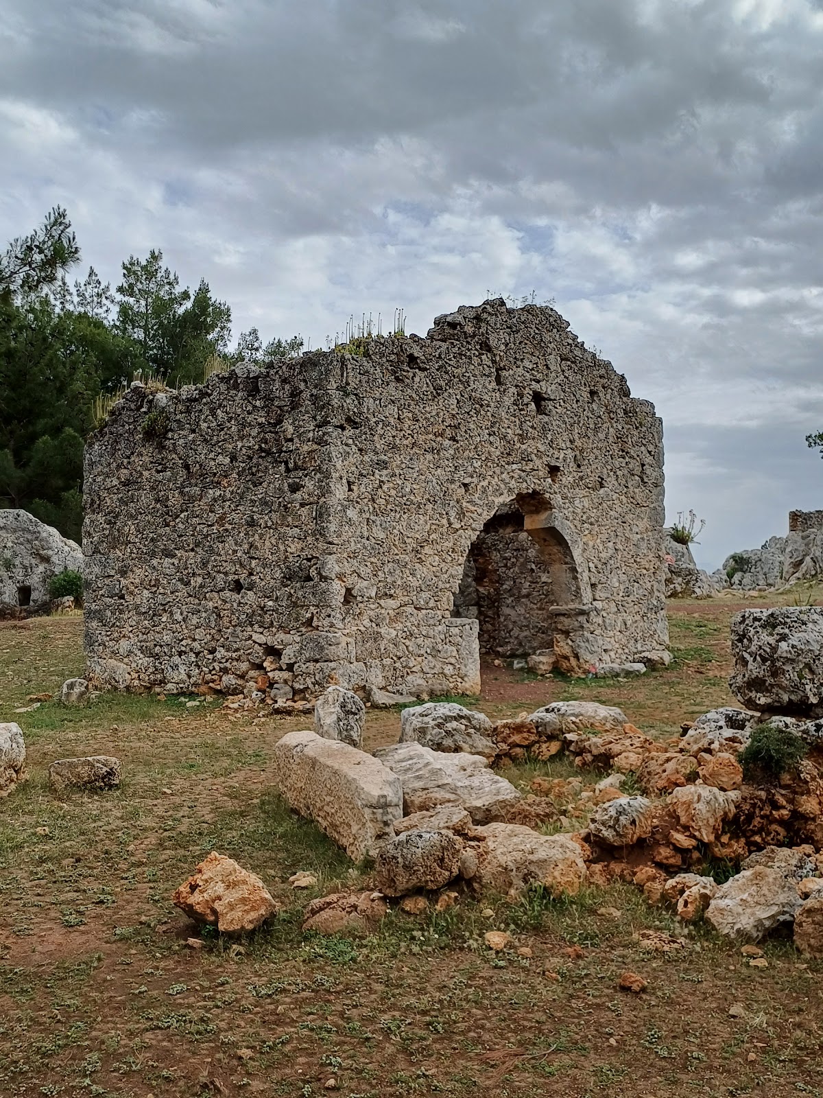 Lyrboton Kome — fotoğraf 4