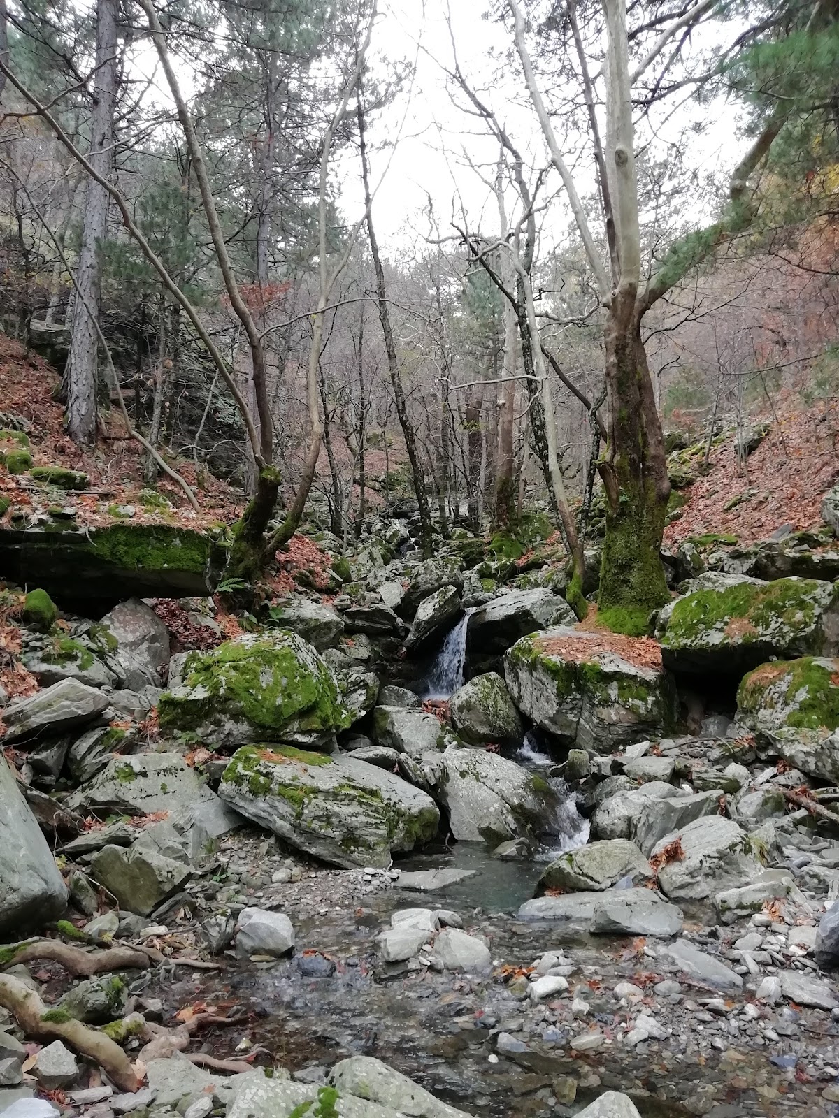 valla şelalesi — fotoğraf 3
