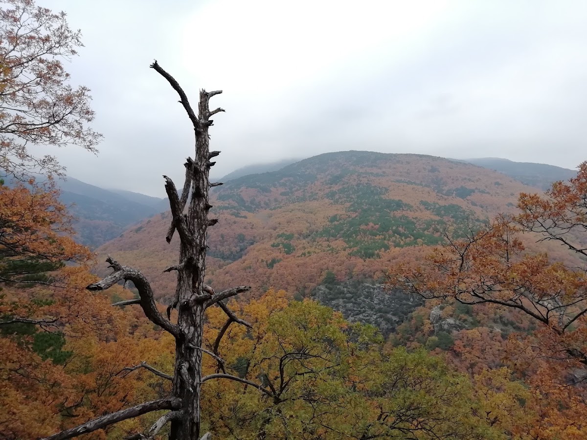 valla şelalesi — fotoğraf 4