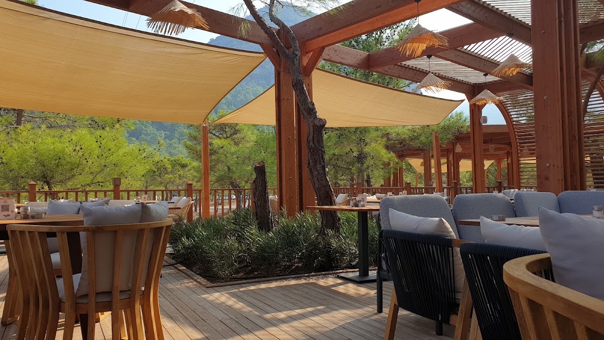 Büyük Çaltıcak — fotoğraf 2