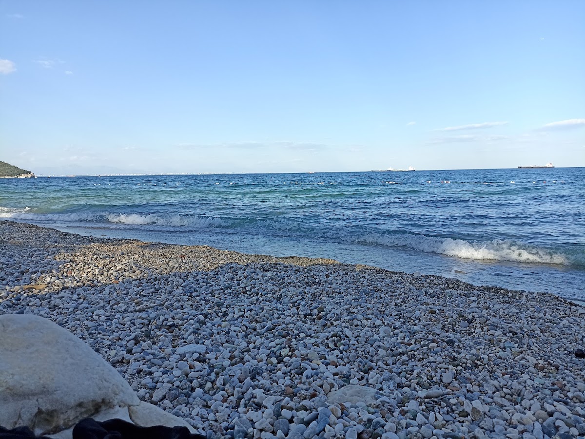 Büyük Çaltıcak — fotoğraf 4