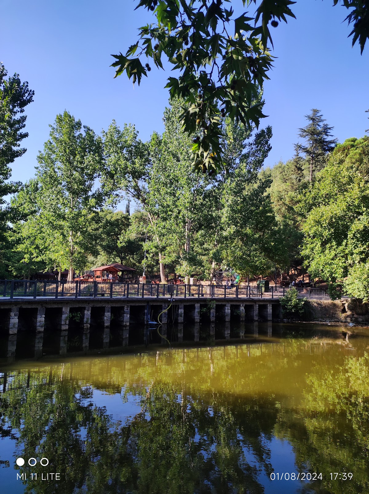 Değirmen Boğazı Tabiat Parkı — fotoğraf 2