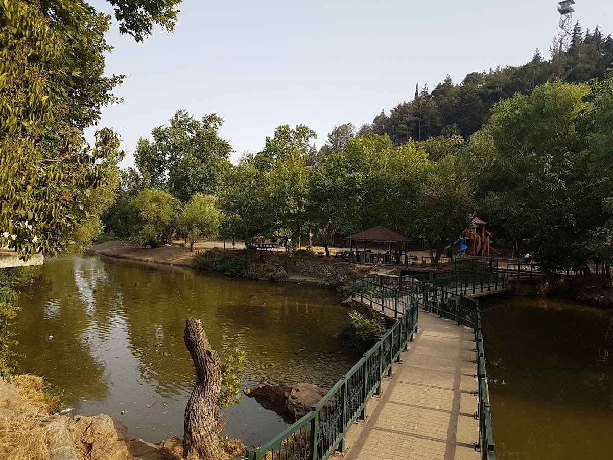 Değirmen Boğazı Tabiat Parkı — fotoğraf 4