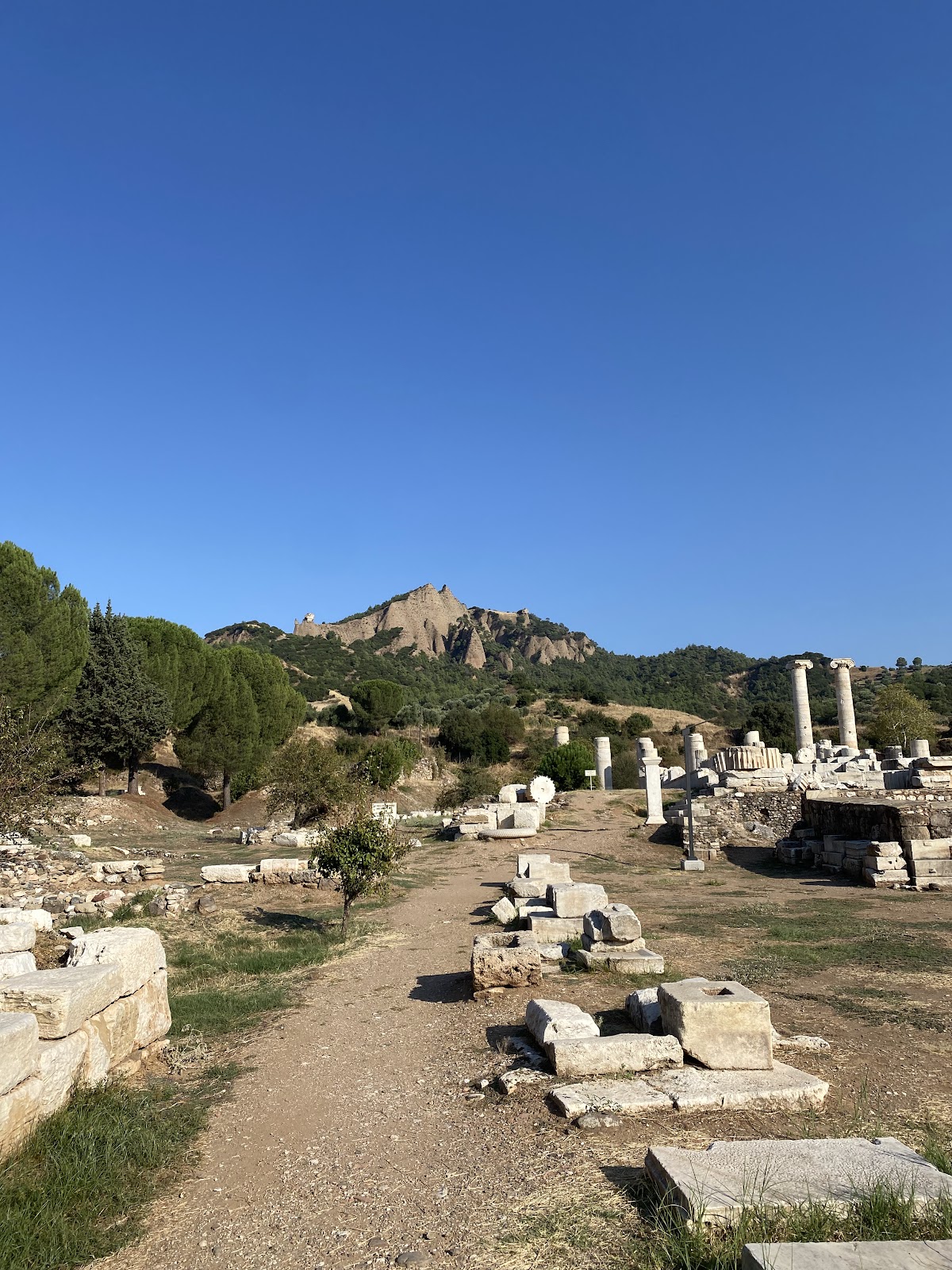 Sardes Artemis Tapınağı — fotoğraf 4