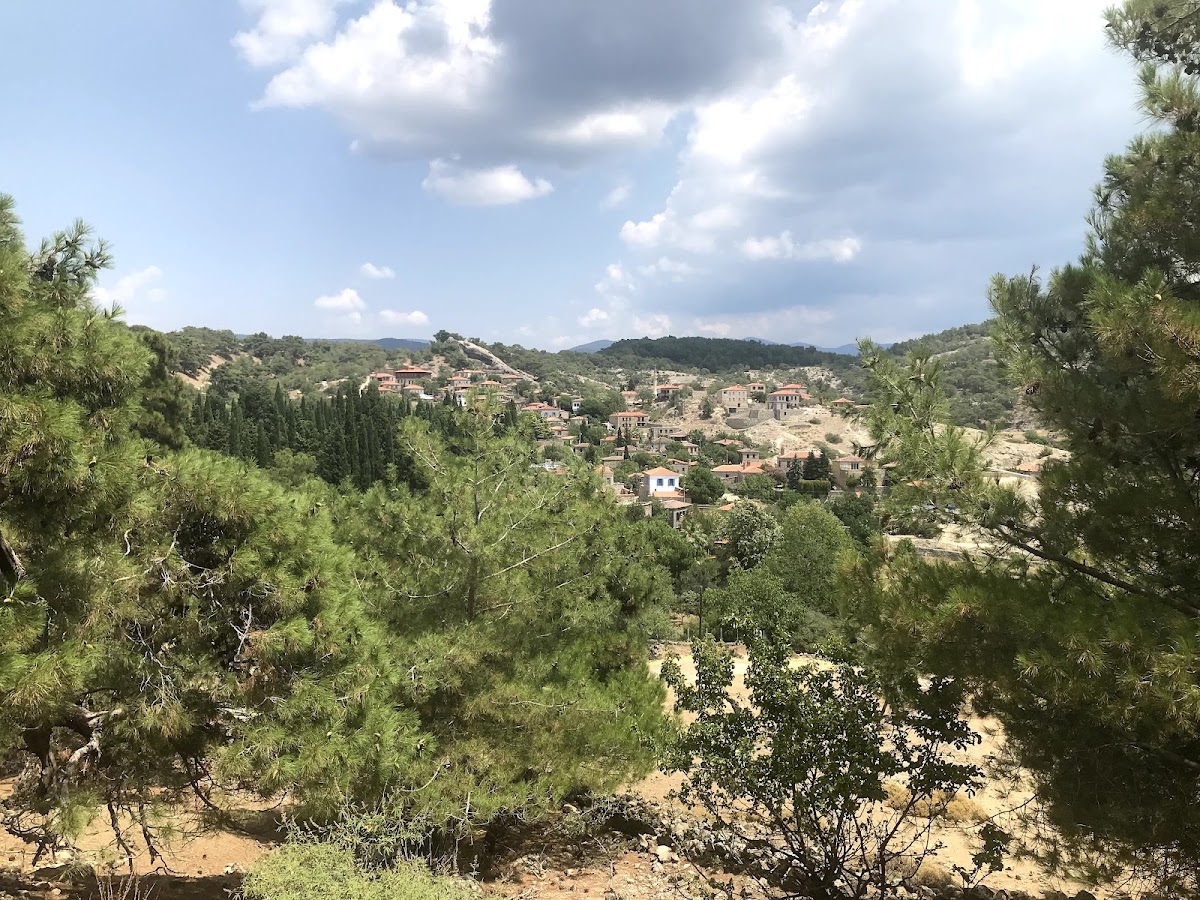 Zeus Sunağı — fotoğraf 4