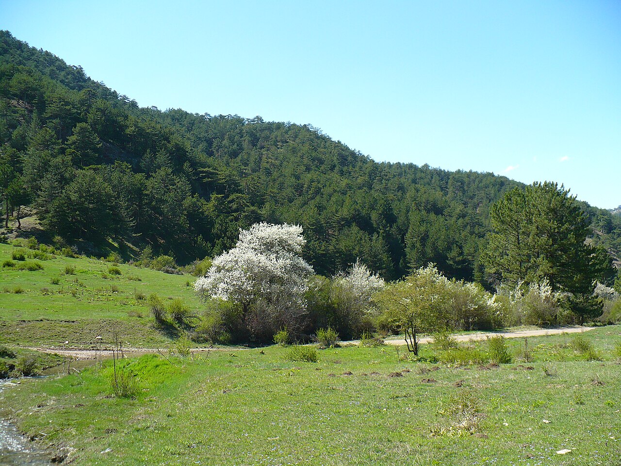 Abant Gölü — fotoğraf 2