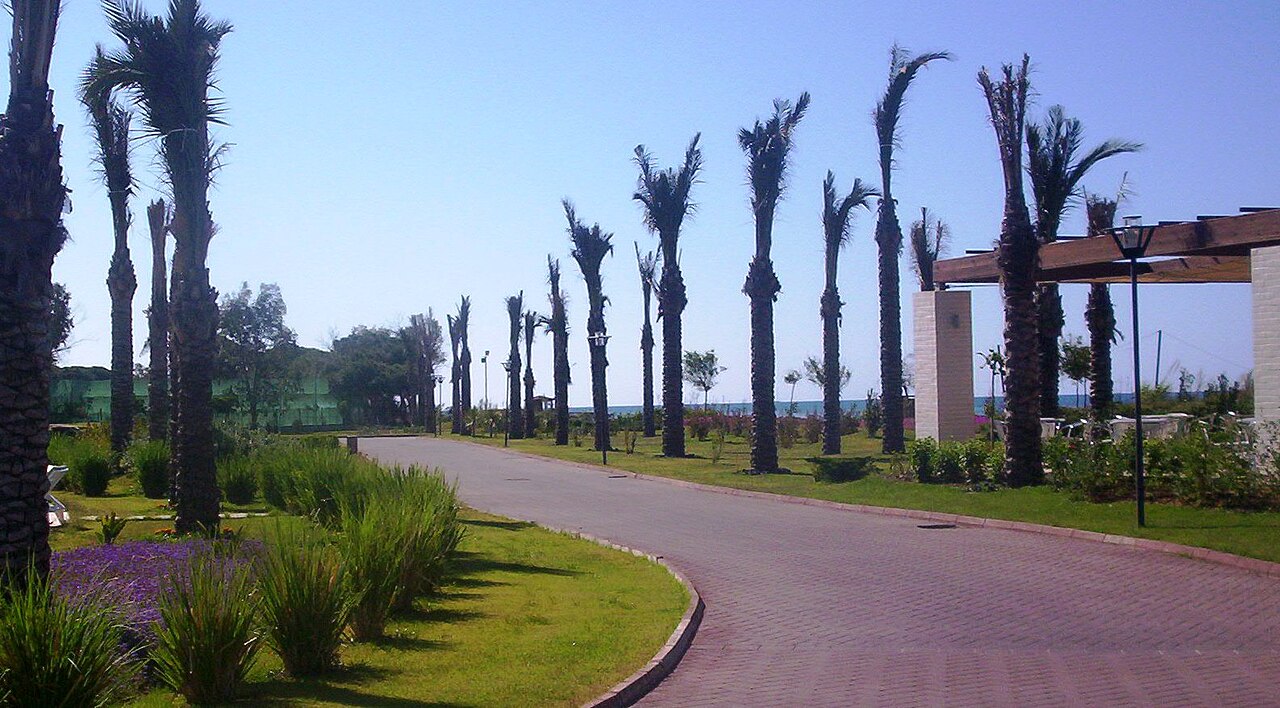 Çamiçi Halk Plajı — fotoğraf 2