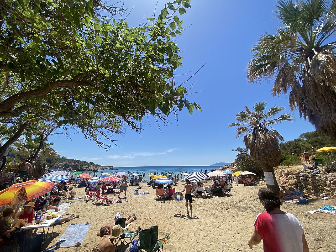 Ekmeksiz Plajı Tabiat Parkı — fotoğraf 2