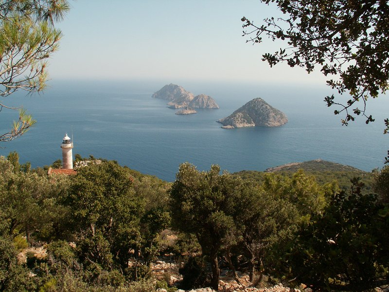 Gelidonya Burnu