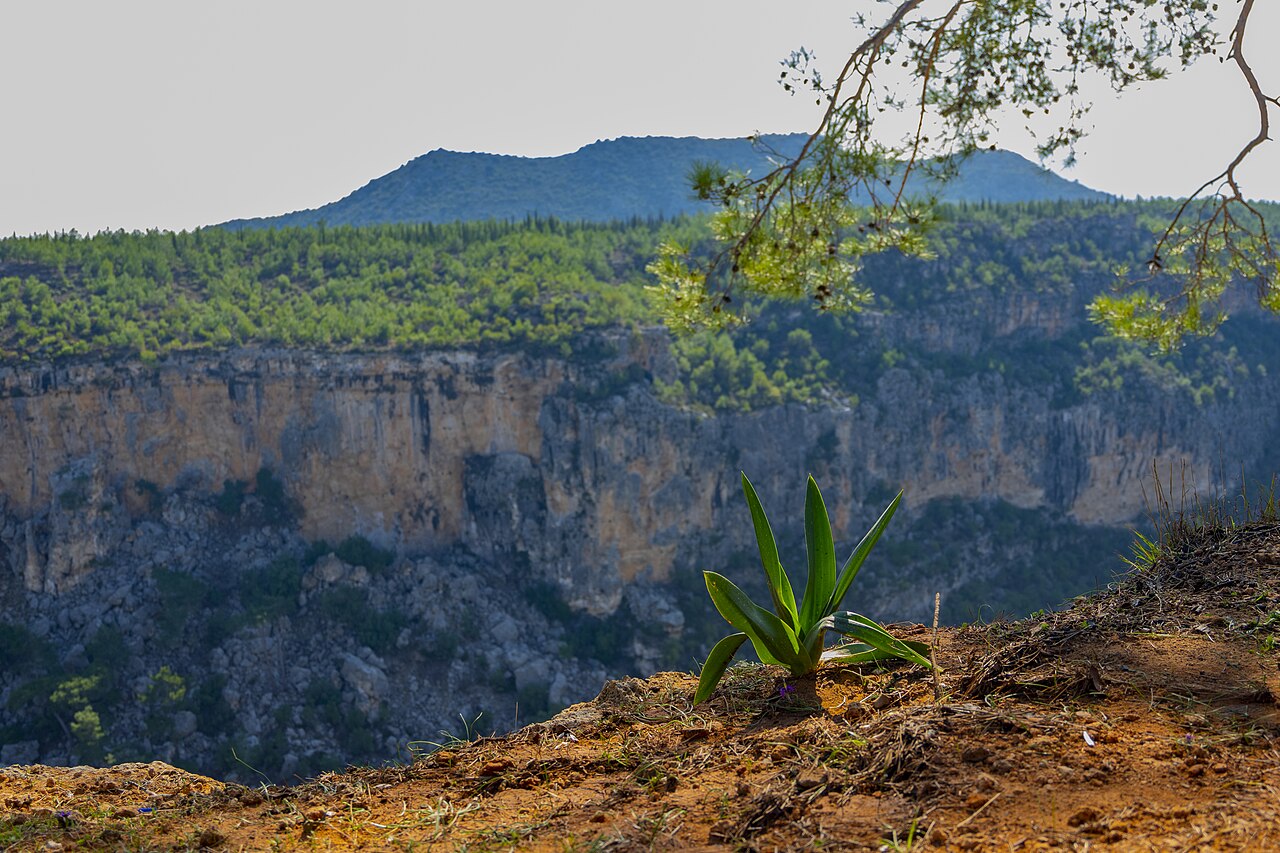 Güver Canyon
