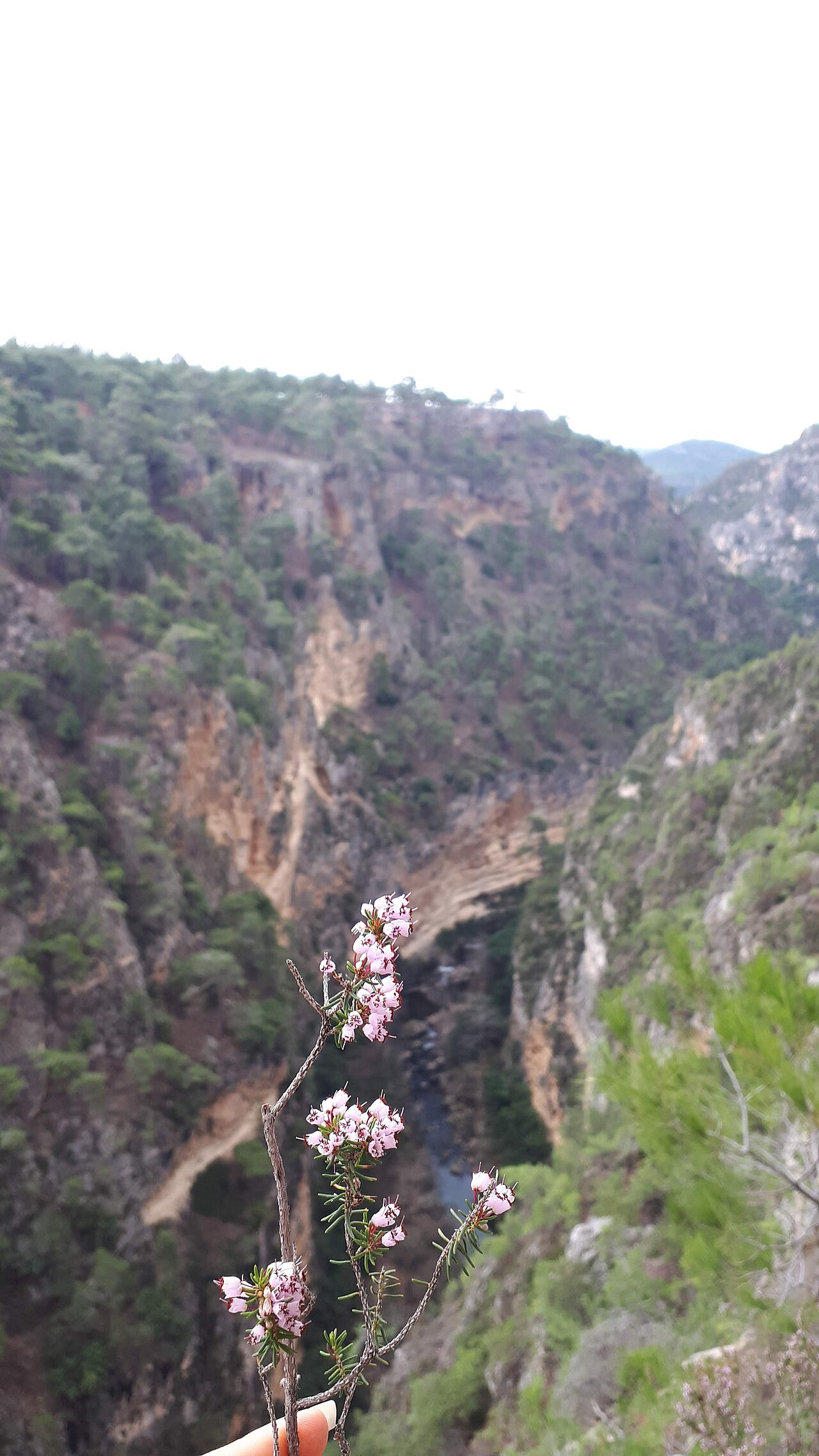 Güver Canyon — fotoğraf 2