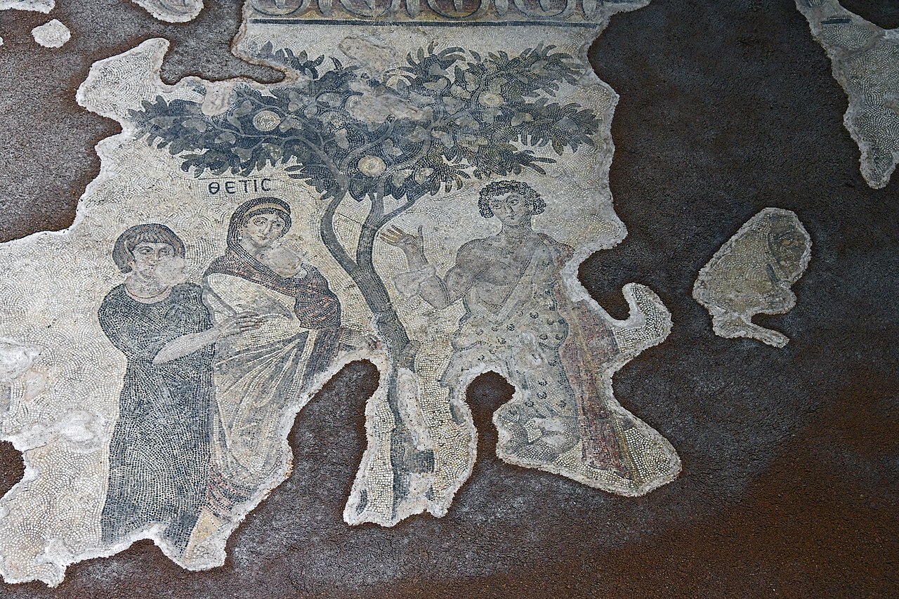Haleplibahçe Mozaik Müzesi — fotoğraf 2