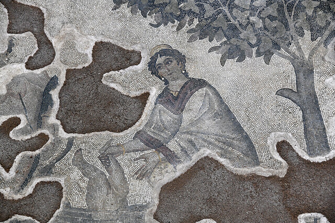 Haleplibahçe Mozaik Müzesi — fotoğraf 3