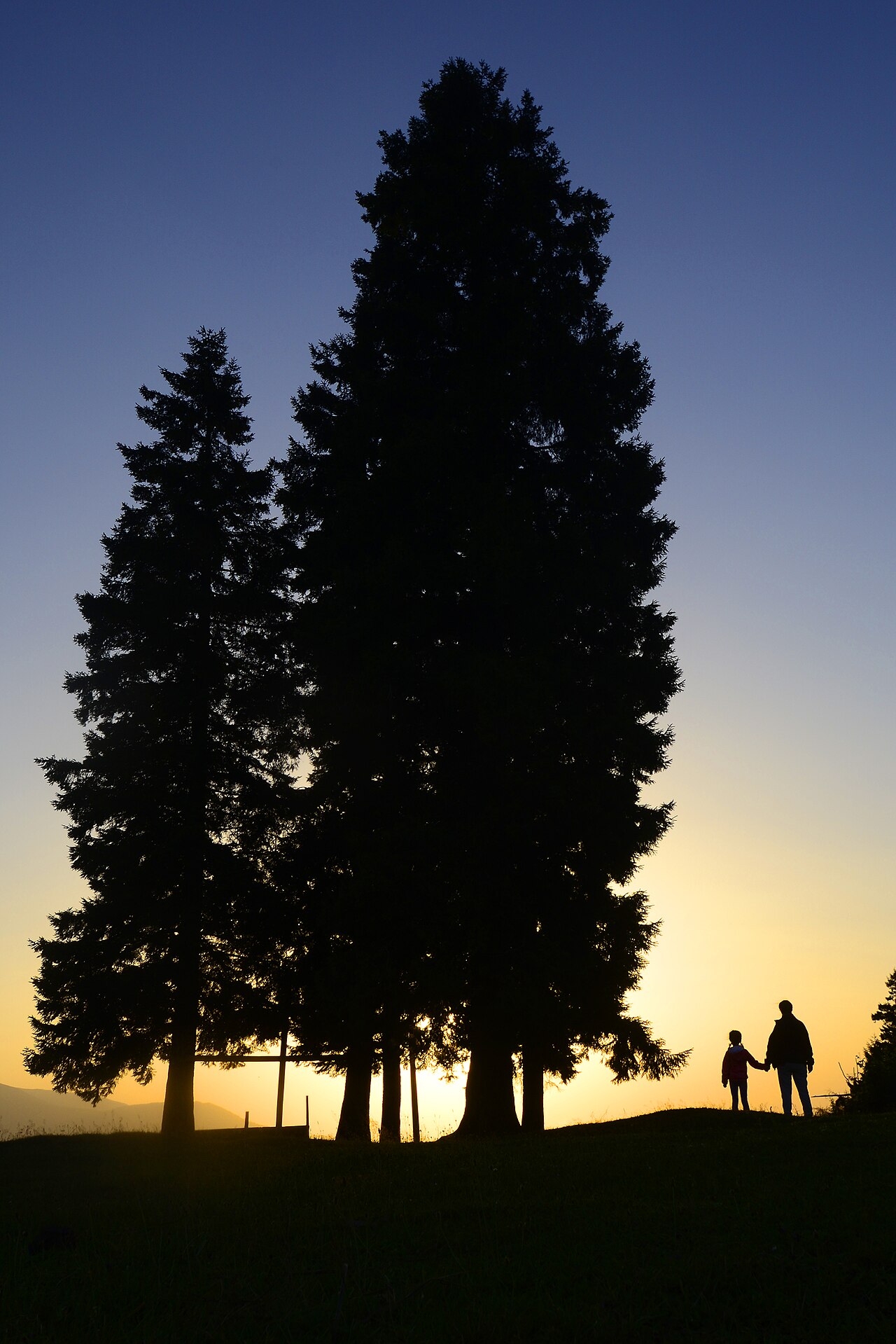 Kadıralak Tabiat Parkı — fotoğraf 2
