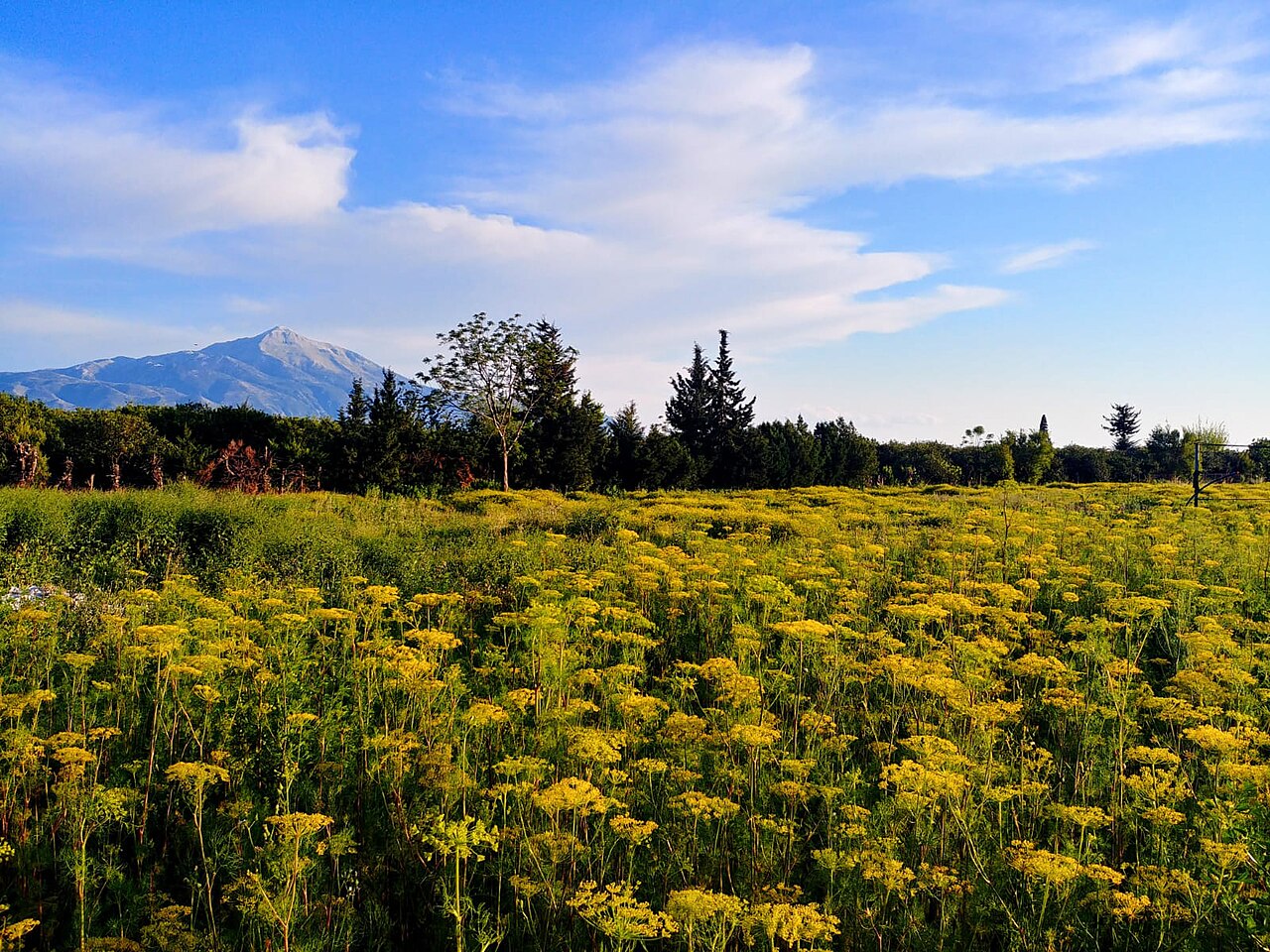 Kel Dağı — fotoğraf 2