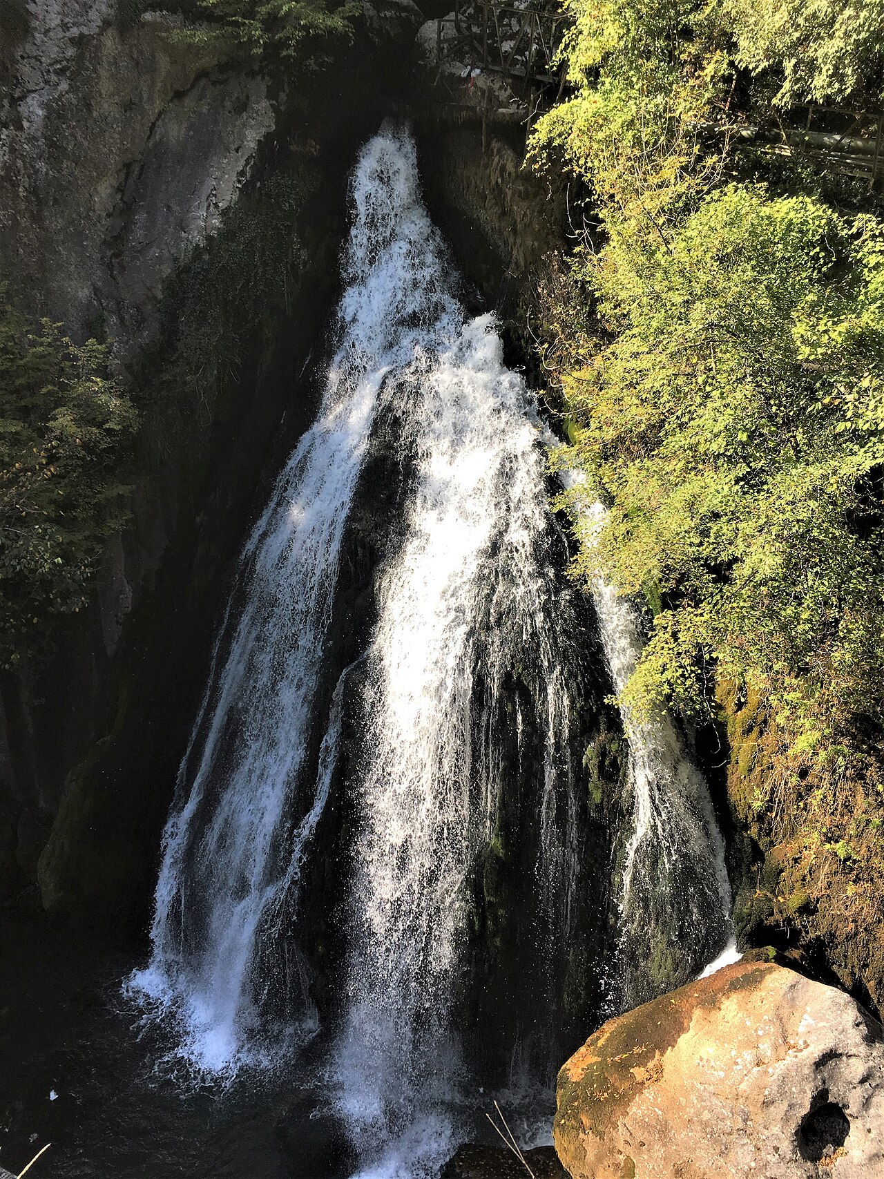 Küre Dağları Millî Parkı — fotoğraf 3