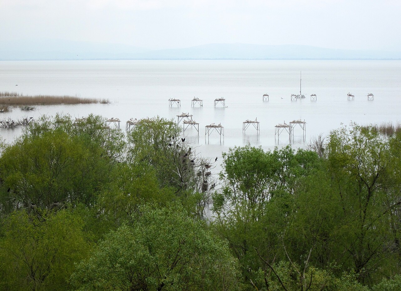 Kuşcenneti Millî Parkı