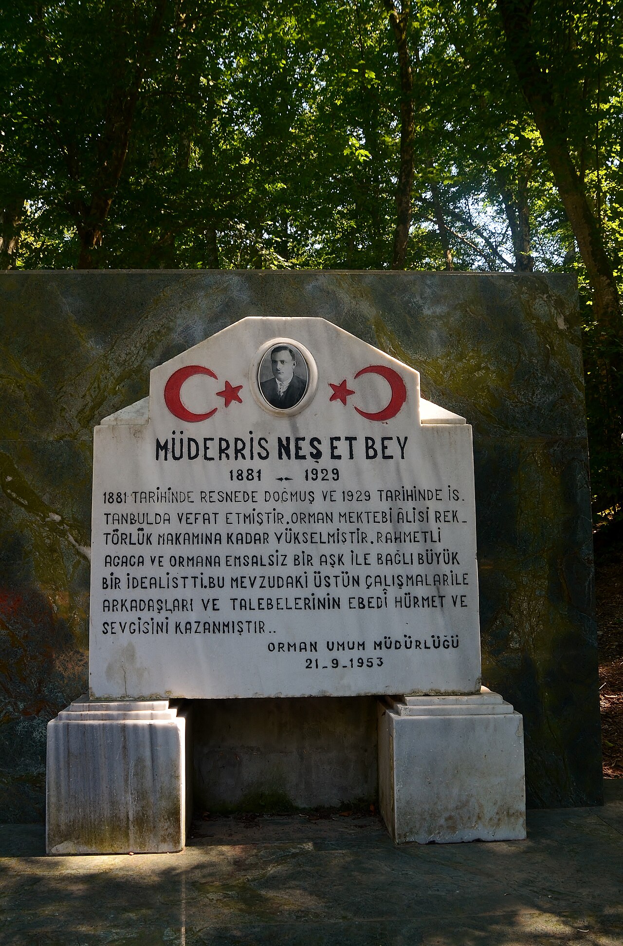 Neşet Suyu Tabiat Parkı — fotoğraf 3