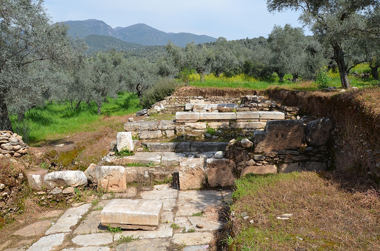 Nysa — fotoğraf 3