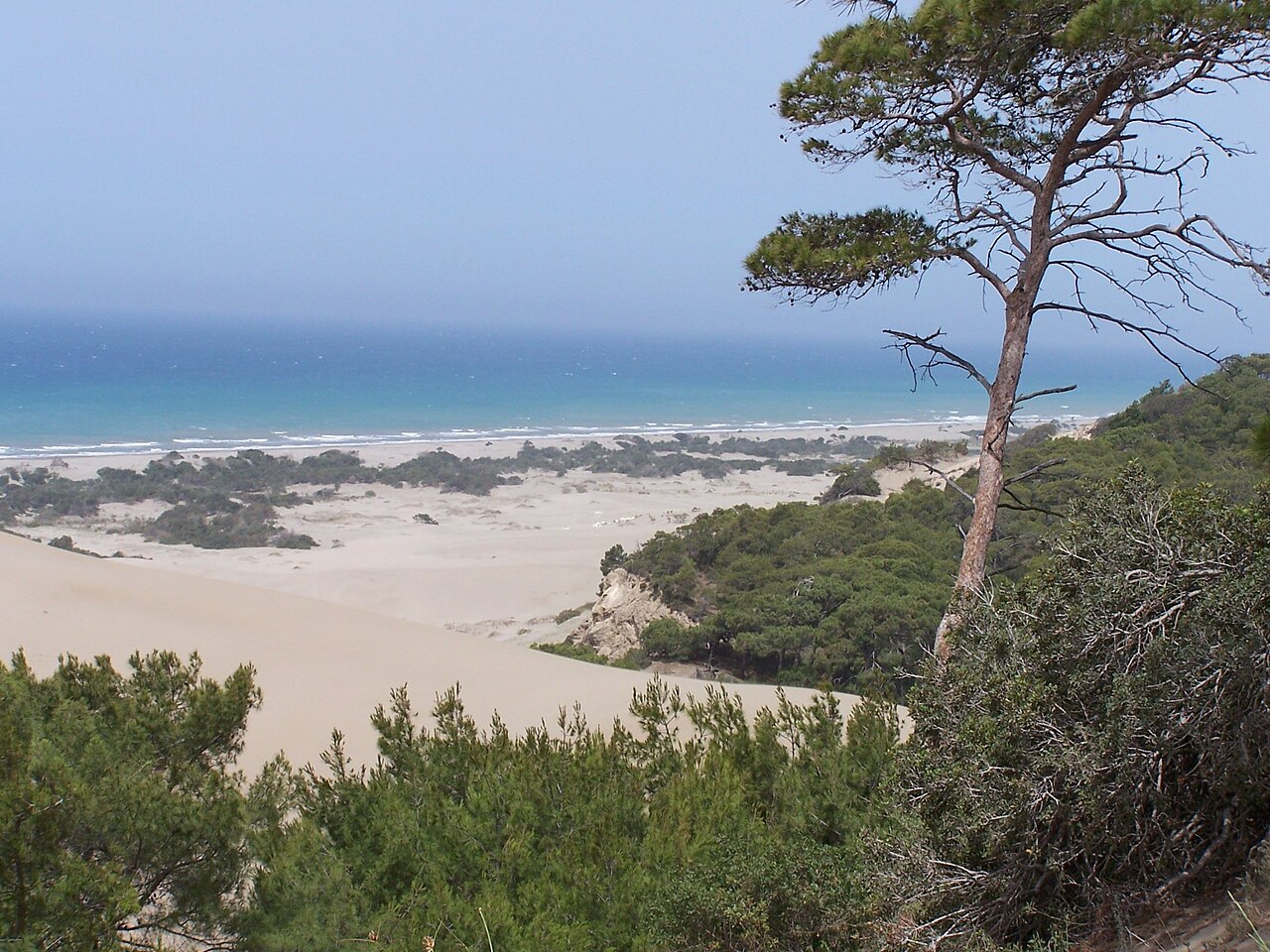 Patara Plajı — fotoğraf 2