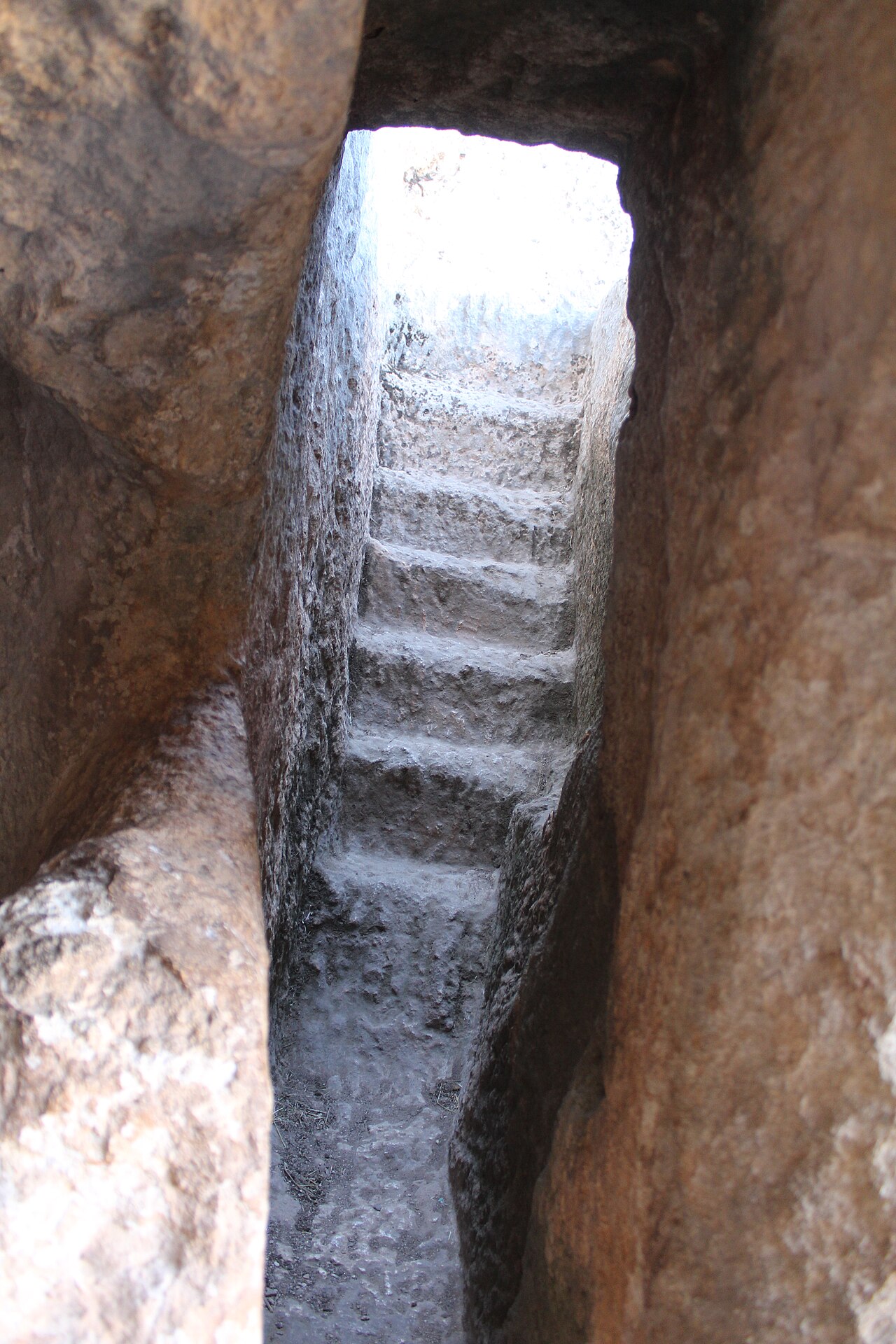 Perre — fotoğraf 3