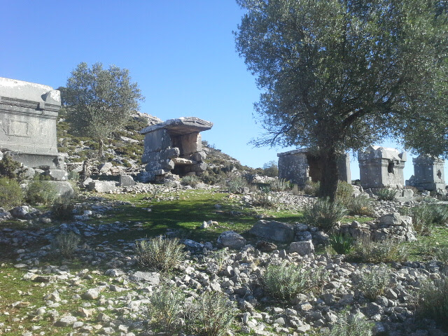 Sidyma — fotoğraf 3